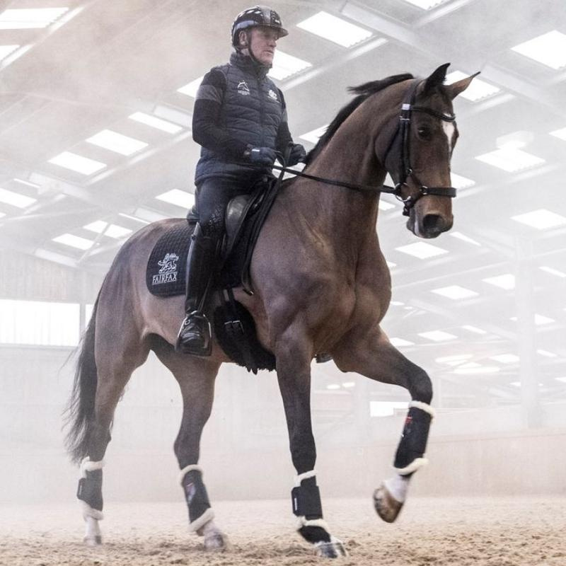 Dressurbelegg Prince Sensitive+ Front Svart