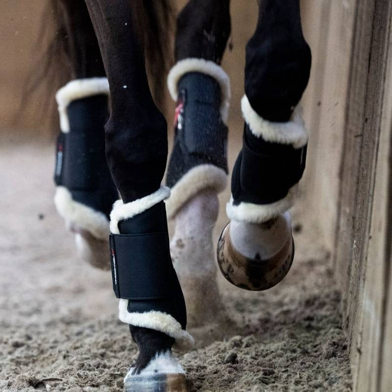 Dressurbelegg Prince Sensitive+ Rear Svart