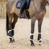 Dressurbelegg Prince Sensitive+ Rear Svart Dressurbelegg Prince Sensitive+ Rear Svart