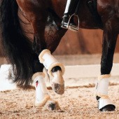 Dressurbelegg Prince Sensitive+ Rear Hvit Dressurbelegg Prince Sensitive+ Rear Hvit