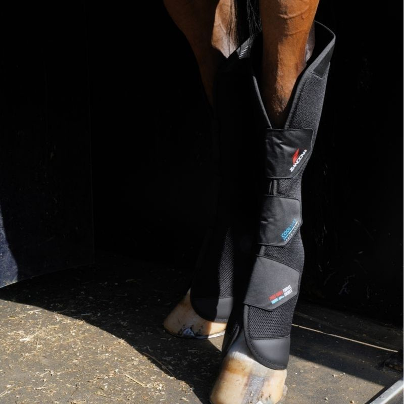 Transportbelegg Pro-Safe Rear Svart