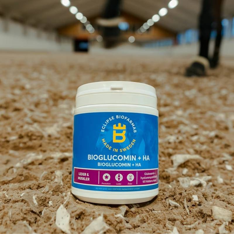 BioGlucomin+HA 450g
