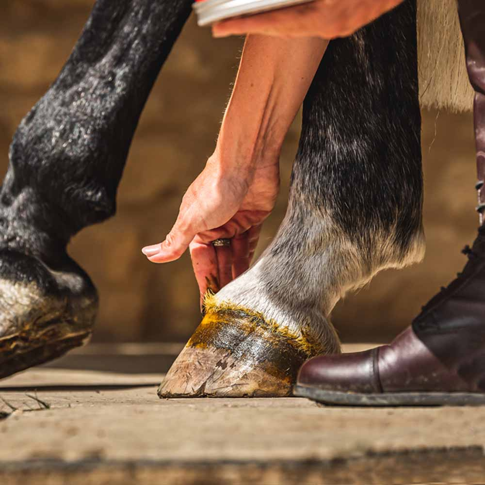 Hovsalve Cornucrescine Original 500ml