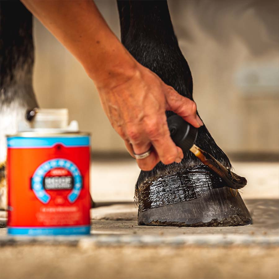 Hovolje Cornucrescine Dressing 500ml