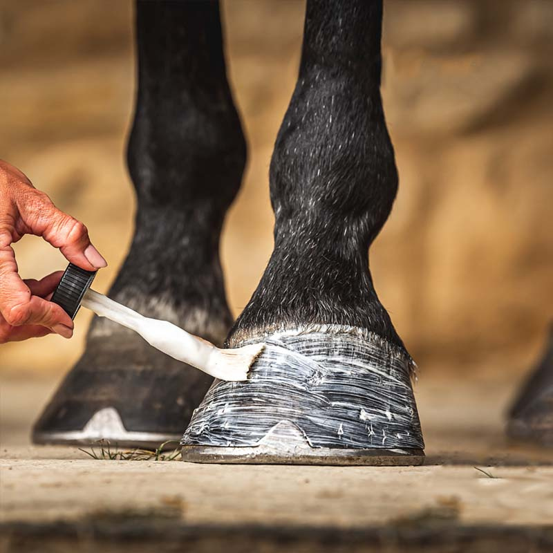 Hovfuktkrem Cornucrescine 500ml