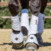 Treningsbeskyttere ProShell Hvit Treningsbeskyttere ProShell Hvit