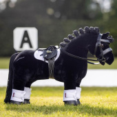 Hodelag Toy Pony Svart Hodelag Toy Pony Svart