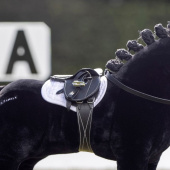 Sal Toy Pony Svart Sal Toy Pony Svart