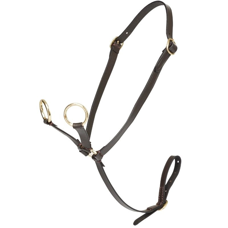 Martingal Toy Pony Brun