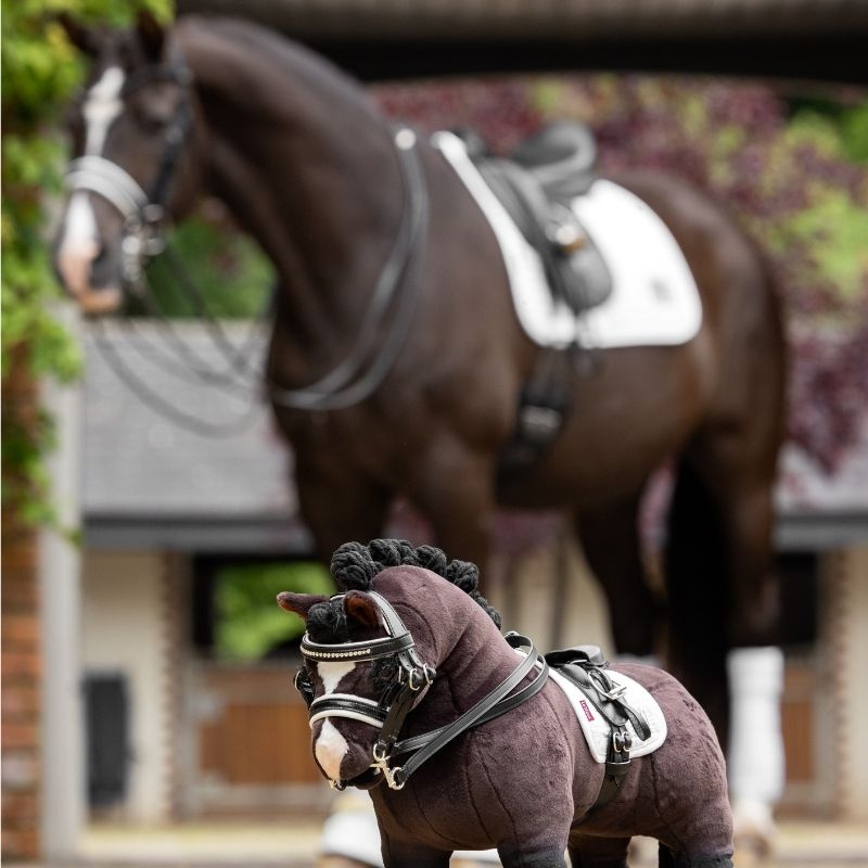 Kandarhodelag Toy Pony Svart