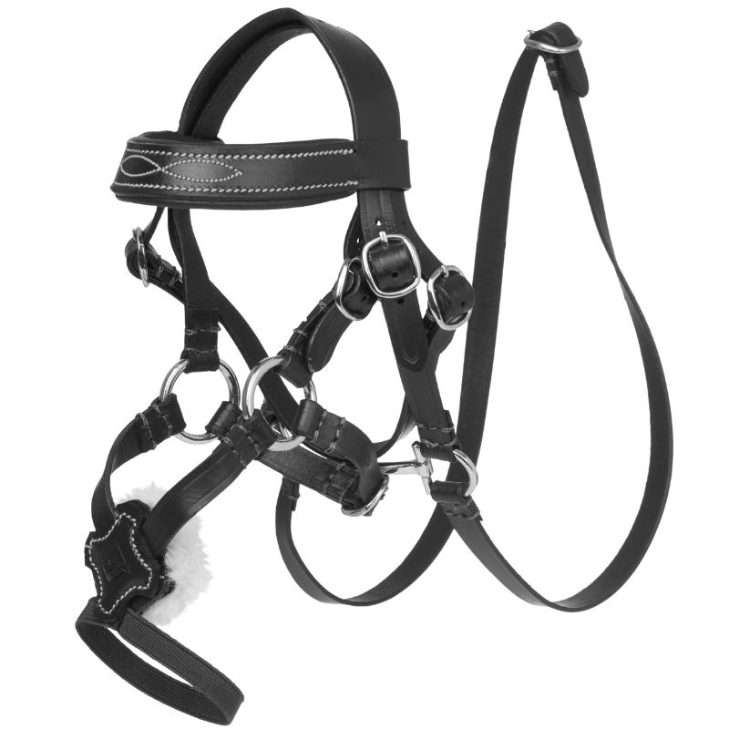 Hodelag Toy Pony Grackle Svart