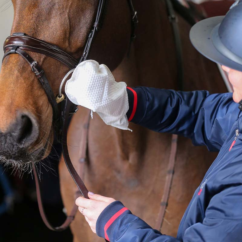 Lærrengjøring Belvoir Votter 10-pakke
