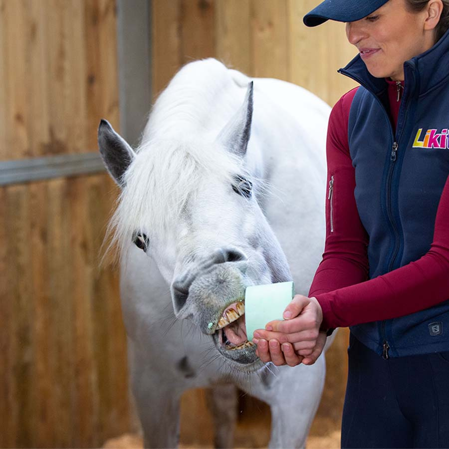 Slikkestein Apple Refill med hull 650g