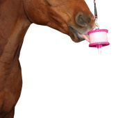 Slikkestein Cherry Refill med hull 650g Slikkestein Cherry Refill med hull 650g