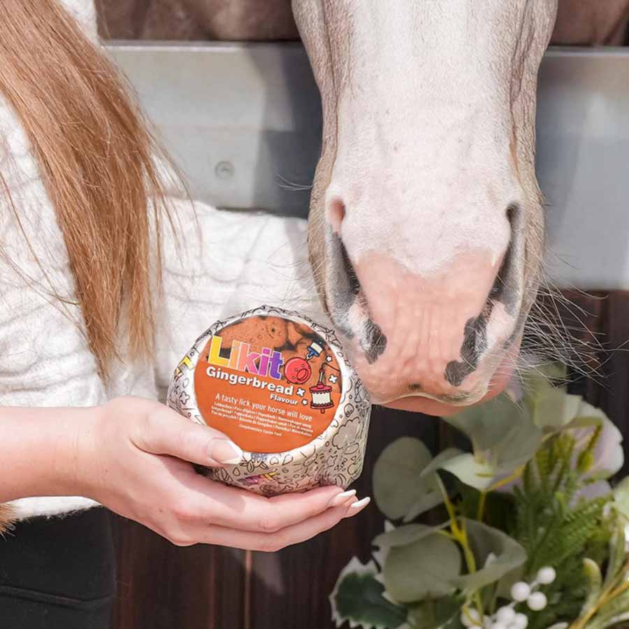 Saltstein Gingerbread Refill 650g