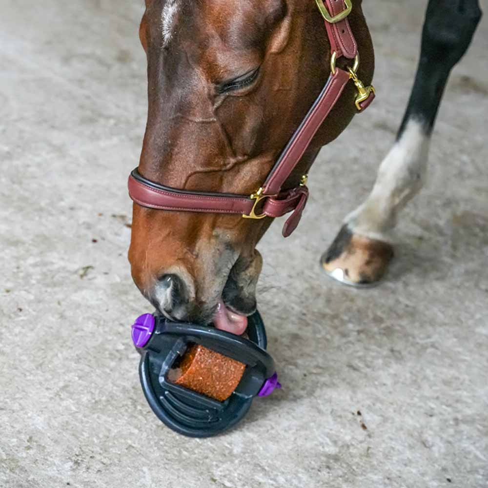 Slikkestein Bizzy Lick Apple Refill 1kg