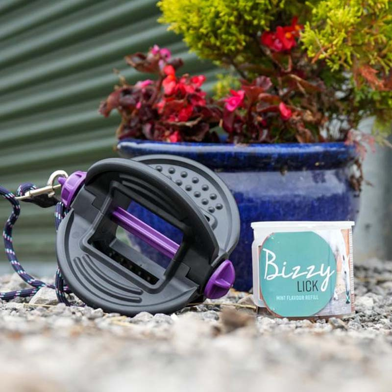 Slikkestein Bizzy Lick Mint Refill 1kg