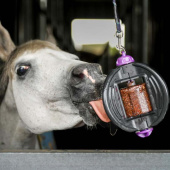 Slikkestein Bizzy Lick Original Refill 1kg Slikkestein Bizzy Lick Original Refill 1kg