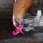 Slikkestein Bizzy Lick Original Refill 1kg Slikkestein Bizzy Lick Original Refill 1kg