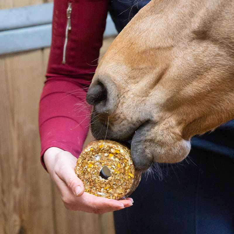 Slikkestein Granola Pepparmint Refill med hull 550g