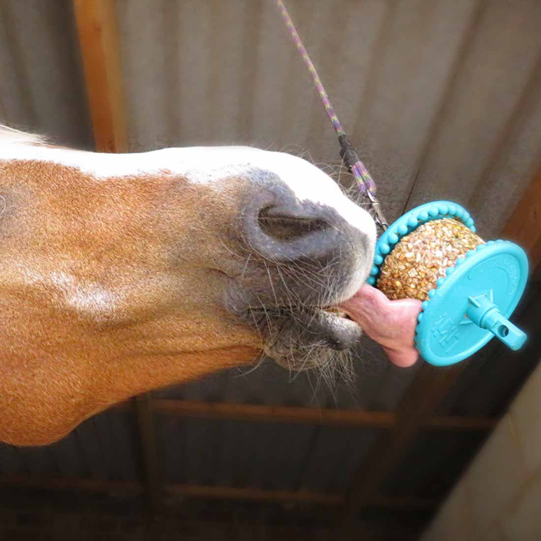 Slikkestein Granola Molasses Refill med hull 550g