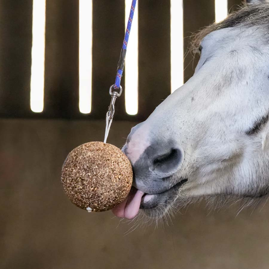 Tyggeball Granola Apple 1,5kg