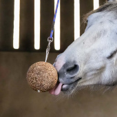 Tyggeball Granola Apple 1,5kg Tyggeball Granola Apple 1,5kg