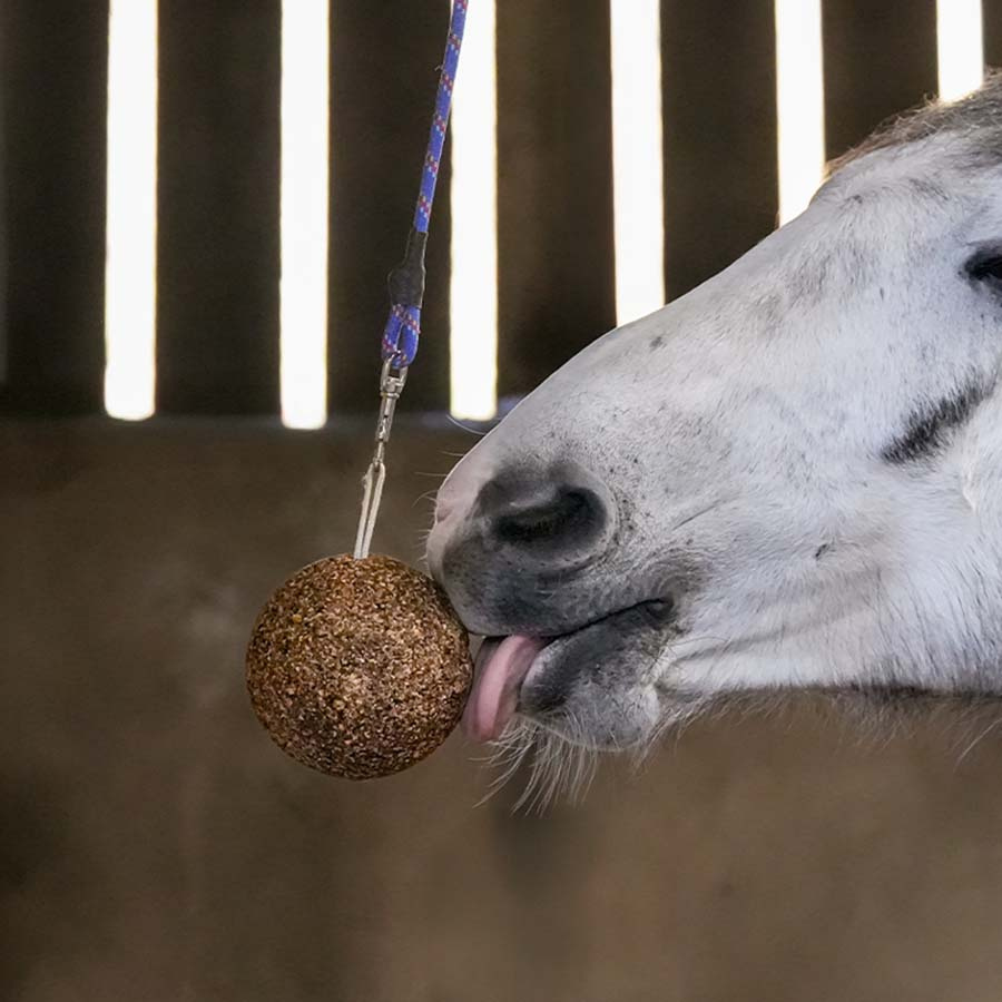 Tyggeball Granola Apple 1,5kg