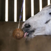 Tyggeball Granola Apple 1,5kg Tyggeball Granola Apple 1,5kg