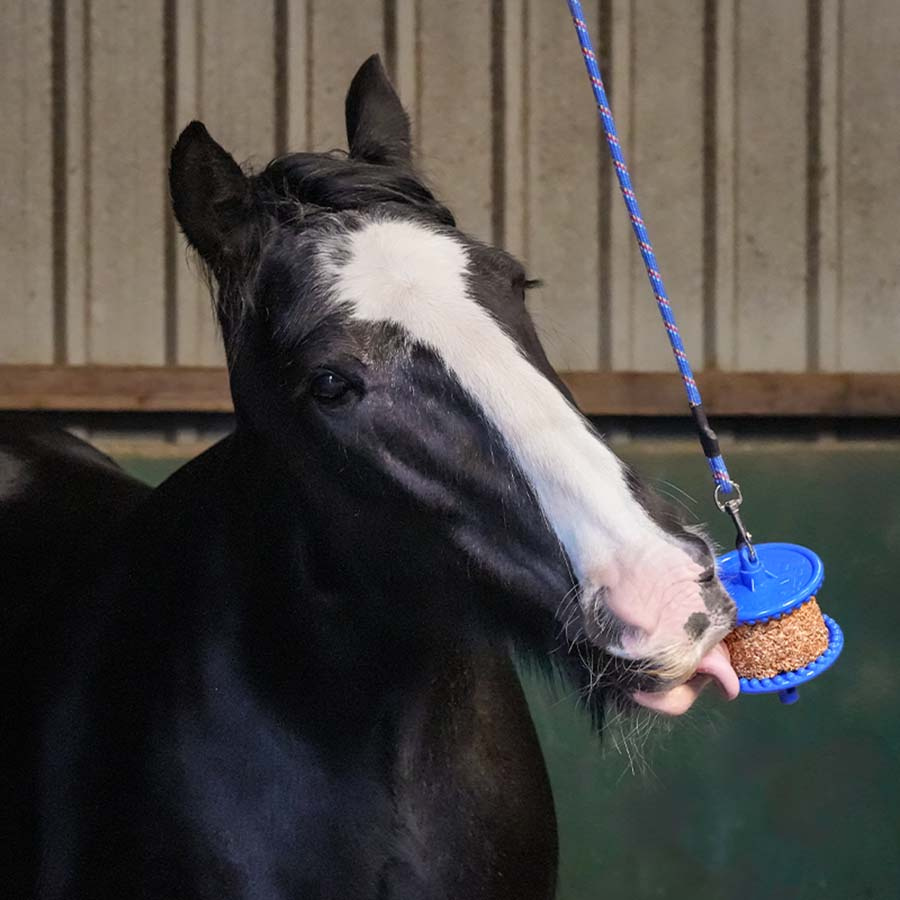 Slikkestein Granola Apple Refill med Hull 400g