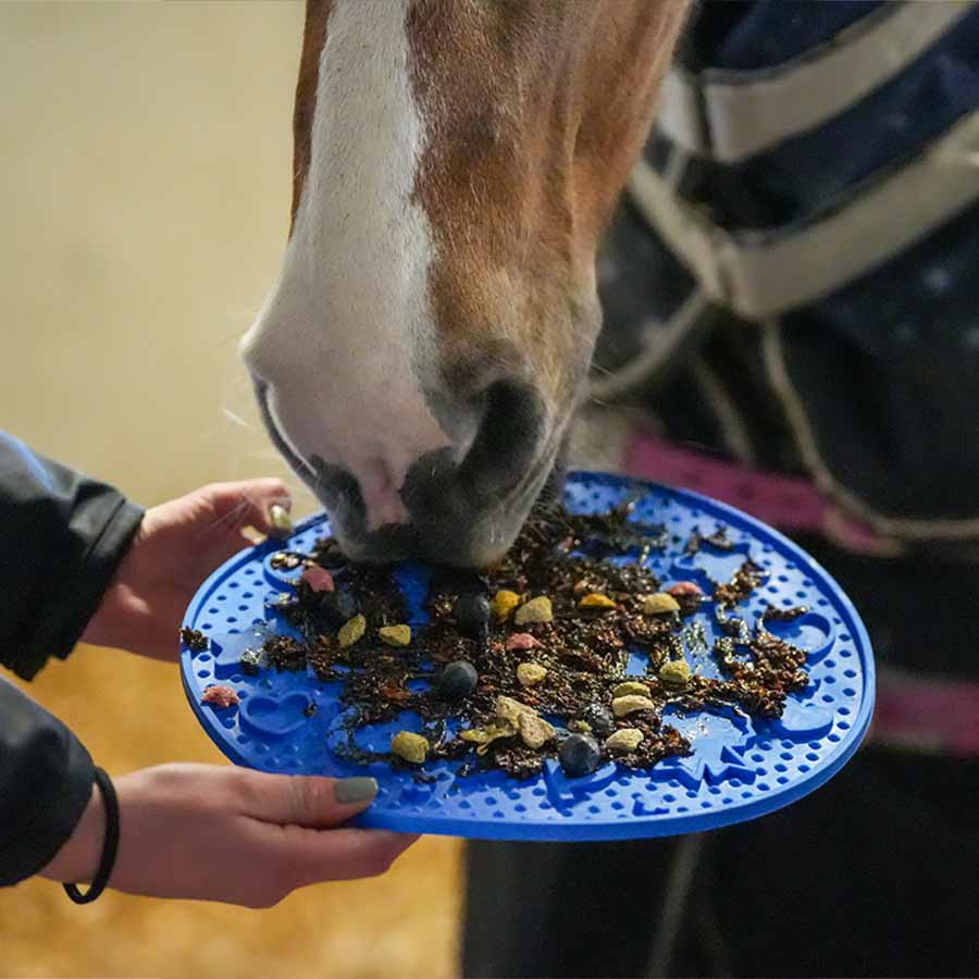 Slikkematte Graze Maze Lick Mat Nivå 1 Blå