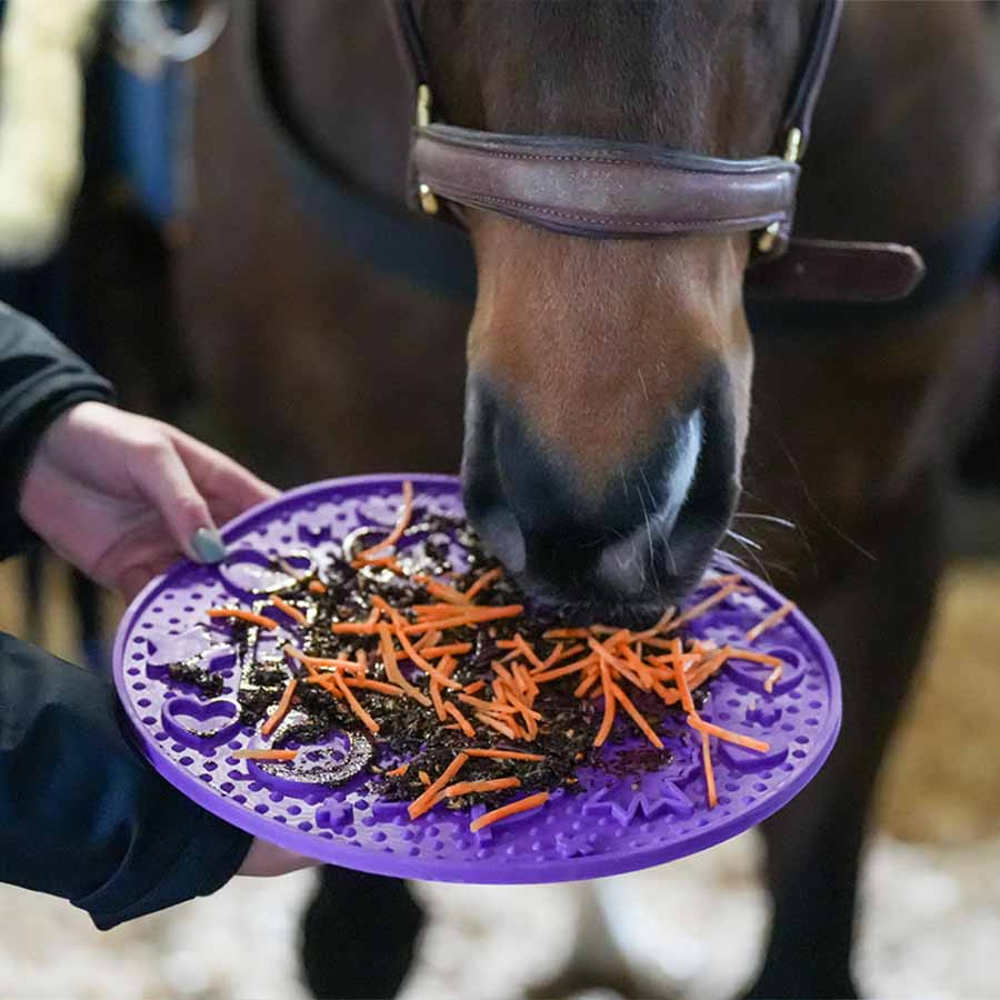 Slikkematte Graze Maze Lick Mat Nivå 1 Lilla