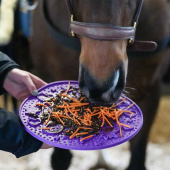 Slikkematte Graze Maze Lick Mat Nivå 1 Lilla Slikkematte Graze Maze Lick Mat Nivå 1 Lilla