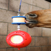 Sliksten Little Carrot Refill uten hull 250g Sliksten Little Carrot Refill uten hull 250g