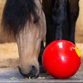 Godiskule Snak-a-Ball Nivå 2 Rød Godiskule Snak-a-Ball Nivå 2 Rød
