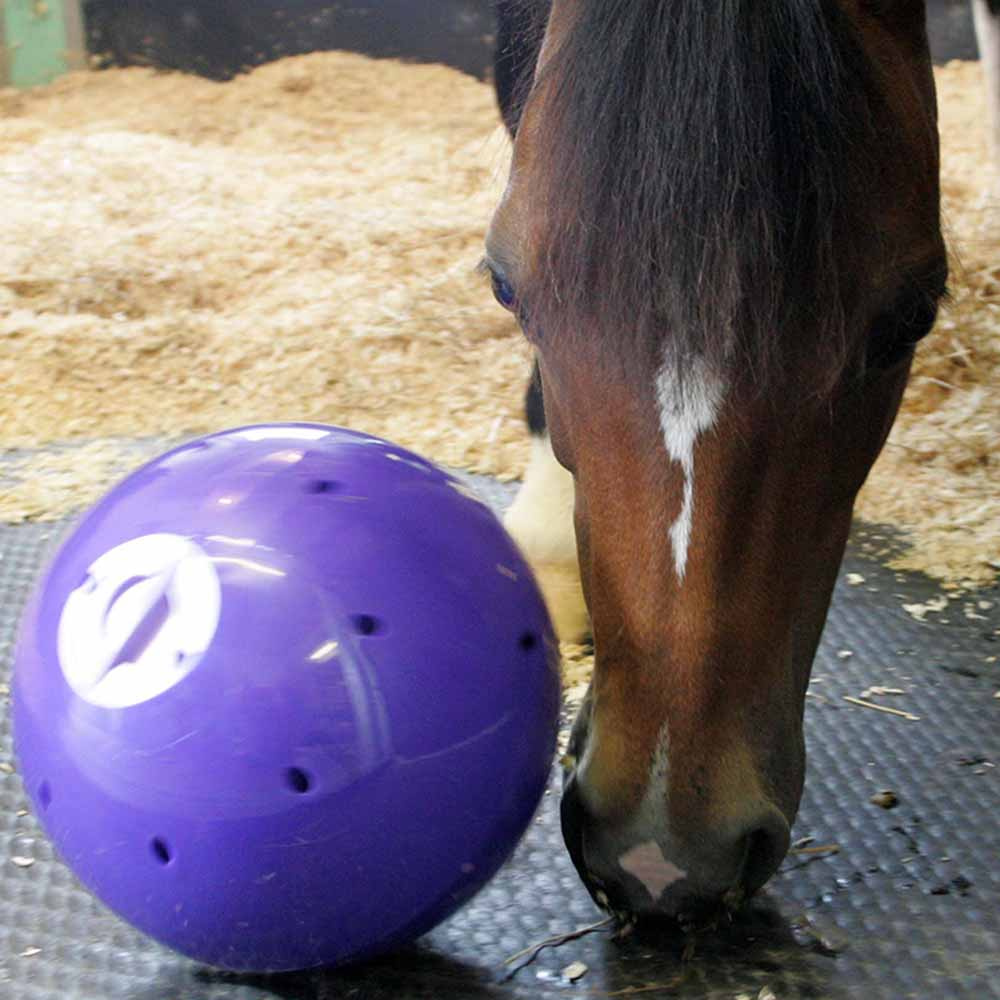 Godiskule Snak-a-Ball Nivå 2 Lilla