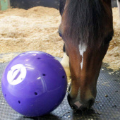 Godiskule Snak-a-Ball Nivå 2 Lilla Godiskule Snak-a-Ball Nivå 2 Lilla