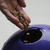 Godiskule Snak-a-Ball Nivå 2 Lilla Godiskule Snak-a-Ball Nivå 2 Lilla