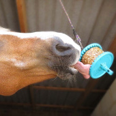 Starter Kit Granloa Nivå 1 Transparent Starter Kit Granloa Nivå 1 Transparent