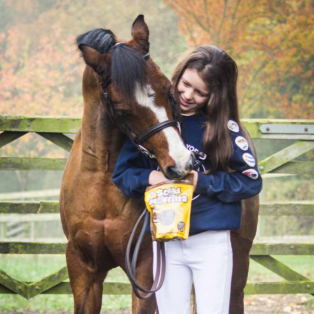 Hestegodis Stud Muffins