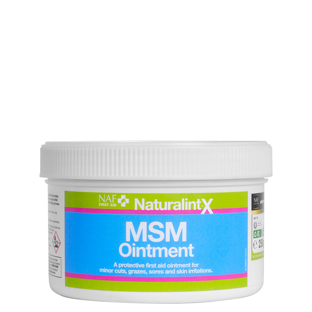 NaturalintX MSM Salve 250g