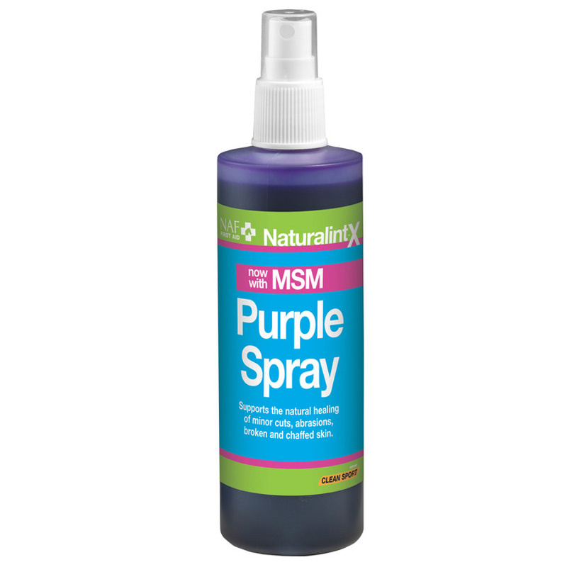 NaturalintX Aloe Vera Lilla Spray 240ml