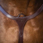 Fortøy med lang bro NE Brun Fortøy med lang bro NE Brun