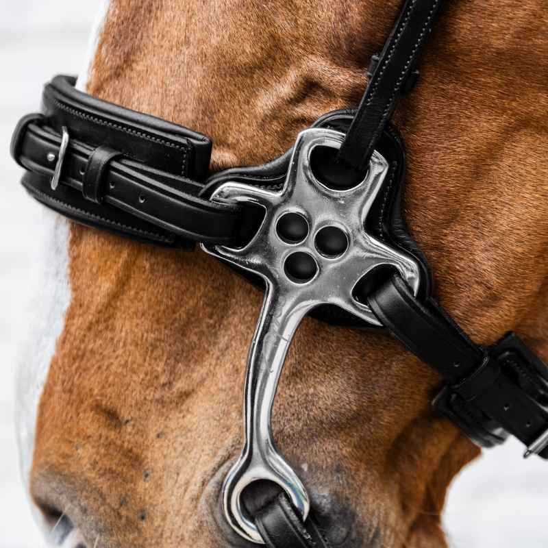 Hackamore New English Collection Svart