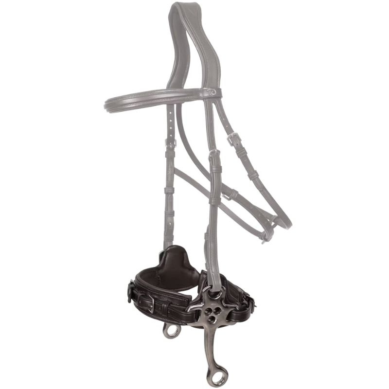 Hackamore New English Collection Svart