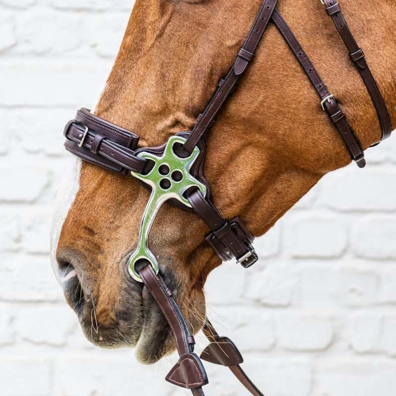 Hackamore New English Collection Brun