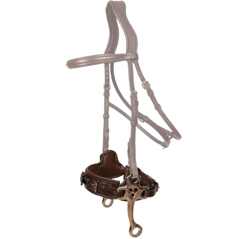 Hackamore New English Collection Brun