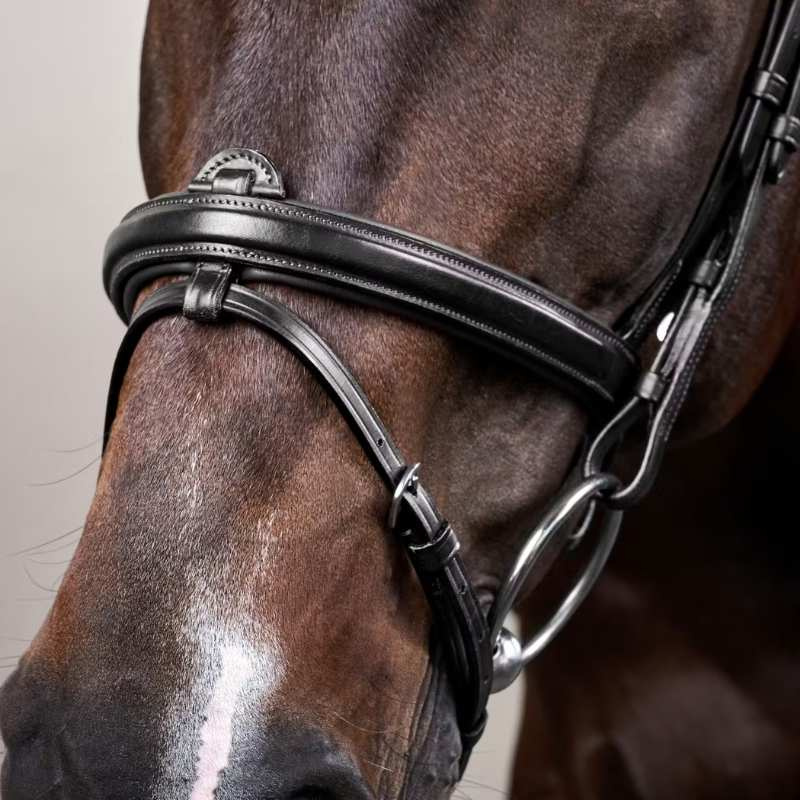 Hodelag Kombinert Nesereim New English Collection Svart