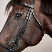 Hodelag Hannoveransk Nesereim New English Collection Svart Hodelag Hannoveransk Nesereim New English Collection Svart