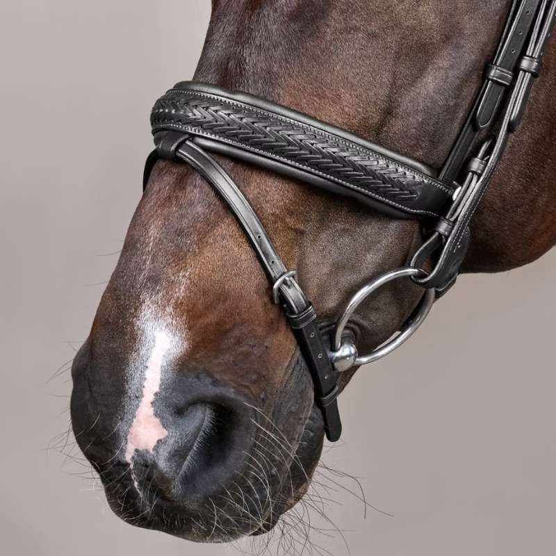 Hodelag Plaited Pull Back New English Collection Svart